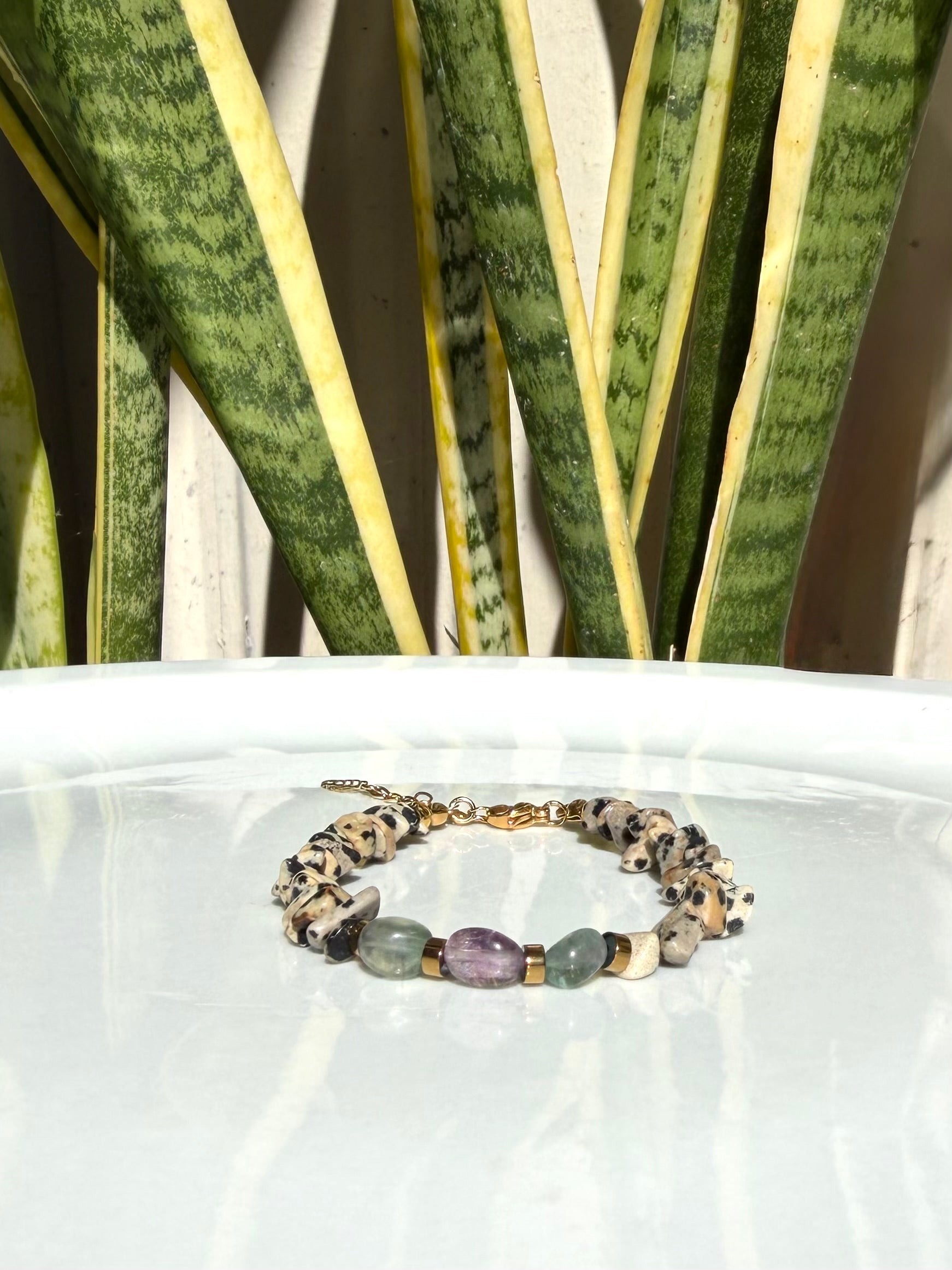 Bracelet Jaspe Dalmatien & Fluorite