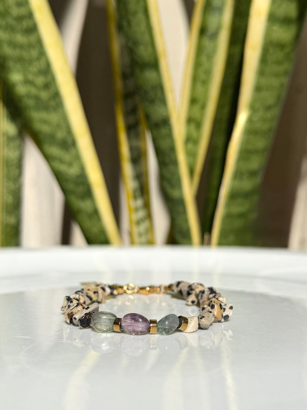 Bracelet Jaspe Dalmatien & Fluorite