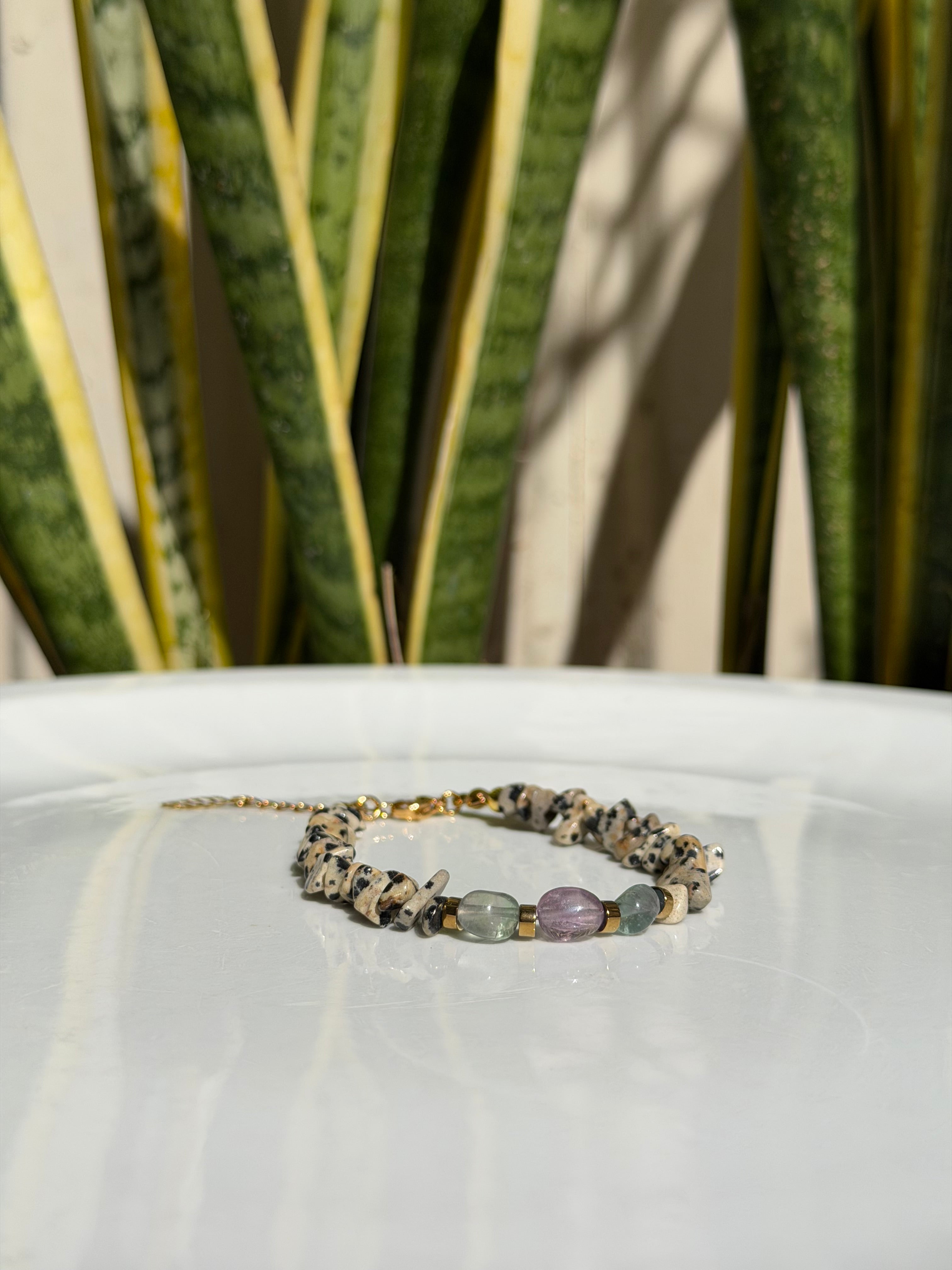 Bracelet Jaspe Dalmatien & Fluorite