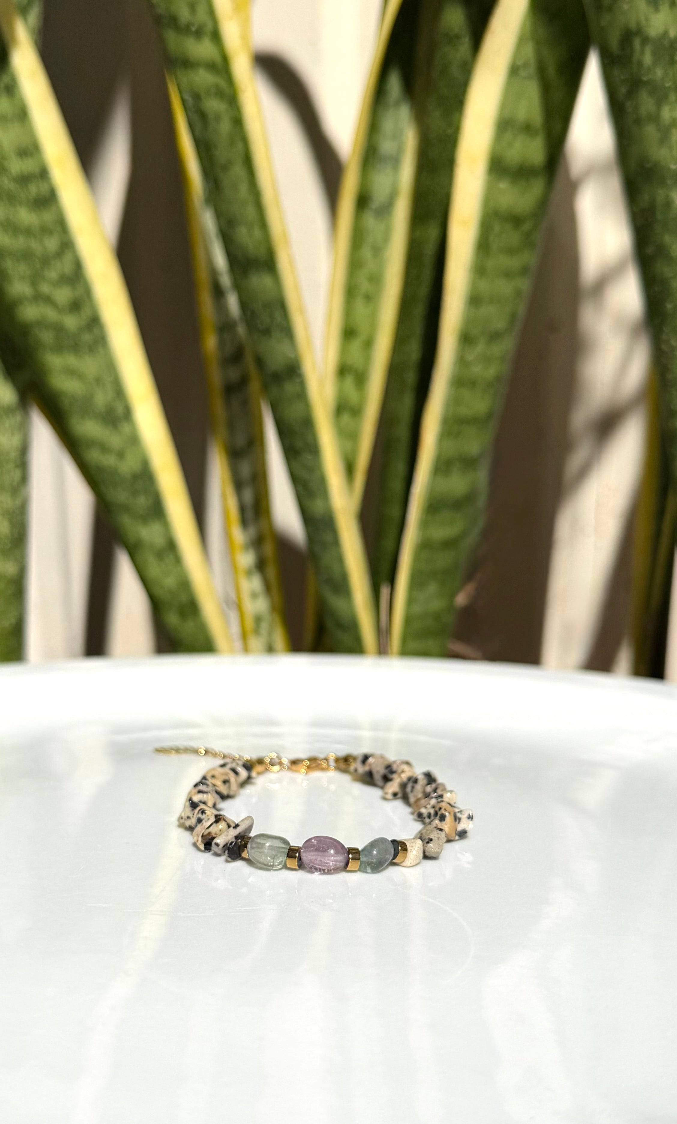 Bracelet Jaspe Dalmatien & Fluorite