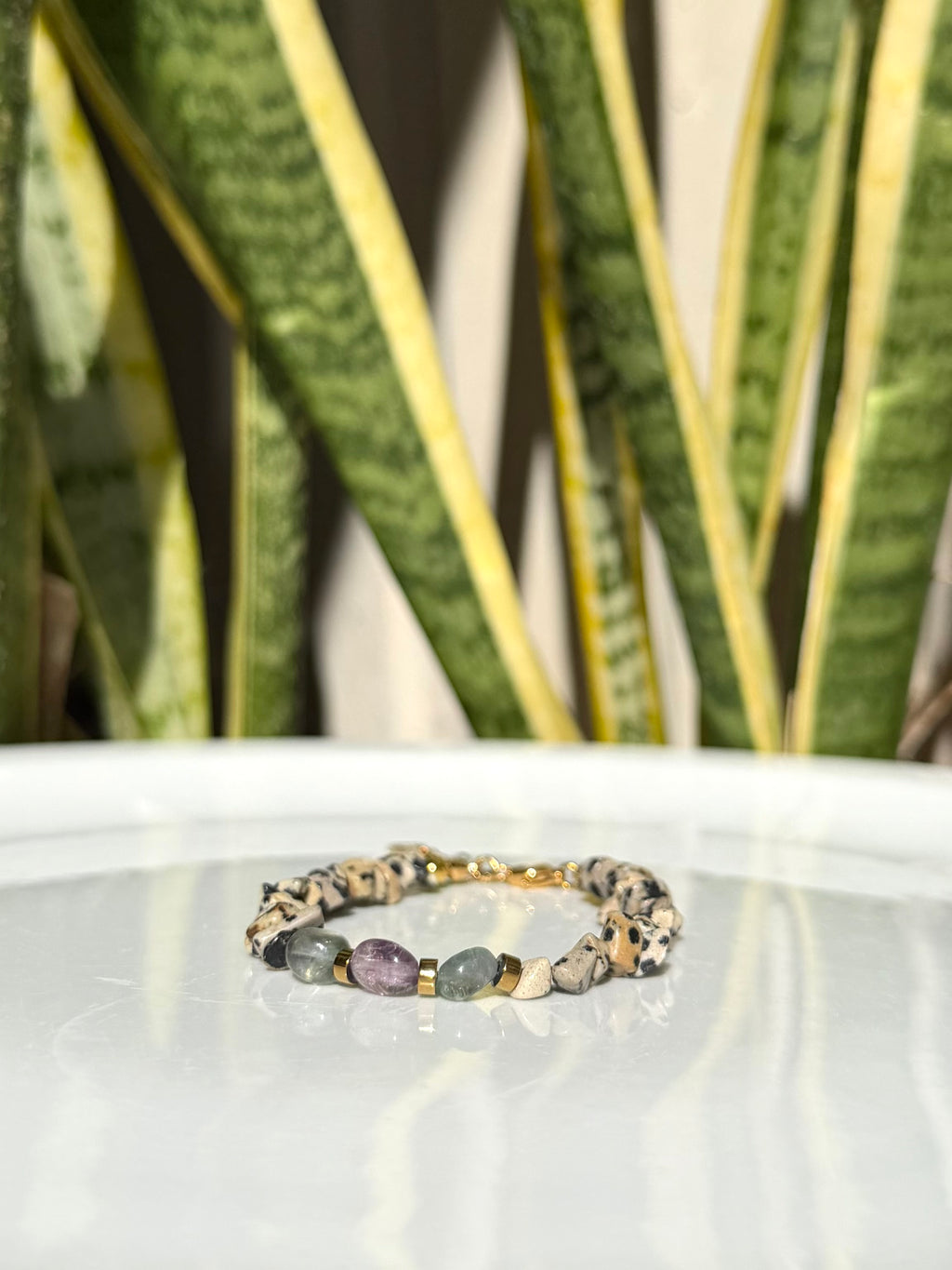 Bracelet Jaspe Dalmatien & Fluorite