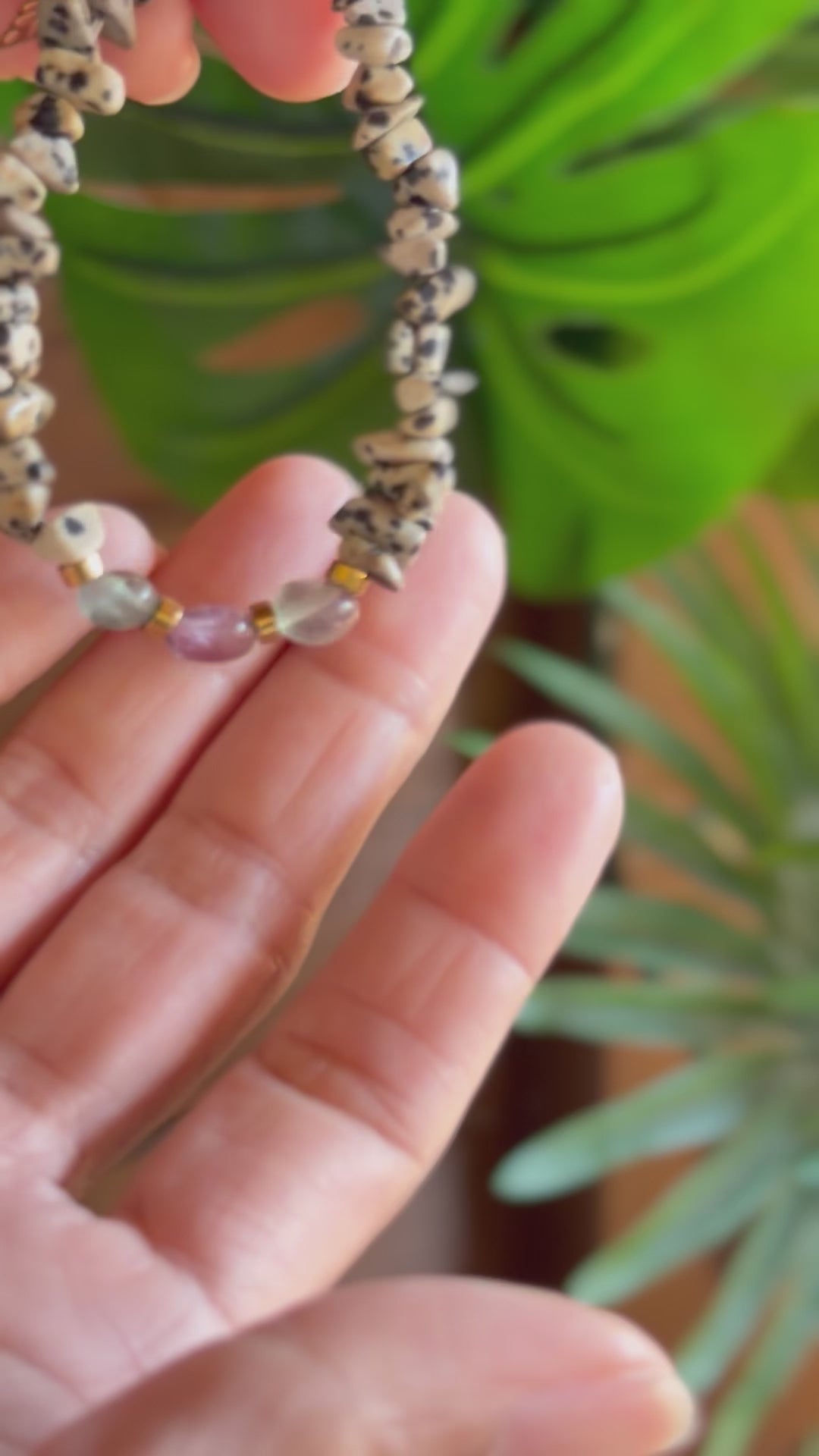 Bracelet Jaspe Dalmatien & Fluorite